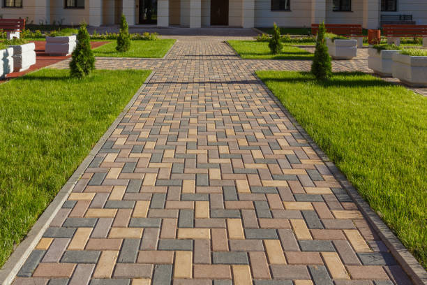 Best Driveway Paving Contractor  in Tonka Bay, MN
